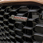 Emblem "Mazdaspeed" für den Kühlergrill; gibt es in der Bucht. Zusätzlich selbstgebauter Lückenfüller aus einer Siebdruckplatte passgenau für "in die Raute" (schwarz), ein Alublech mit etwas größer als die Raute, Befestigungsplatte, Schrauben.
