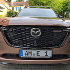 Emblem "Mazdaspeed" für den Kühlergrill; gibt es in der Bucht. Zusätzlich selbstgebauter Lückenfüller aus einer Siebdruckplatte passgenau für "in die Raute" (schwarz), ein Alublech mit etwas größer als die Raute, Befestigungsplatte, Schrauben.