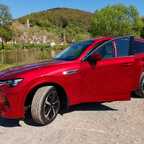 Werbefoto mit Blütenstaub